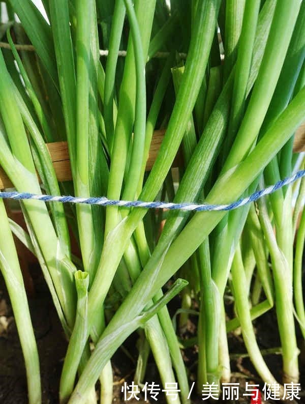 鸡蛋|三种不同的鸡蛋饼,制作方法各异,您更喜欢哪一种
