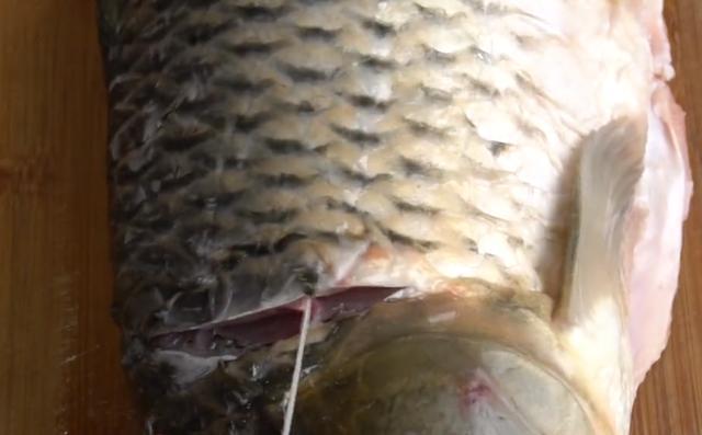  清洗干净|鲤鱼最过瘾的吃法，不加水煮不用蒸，鲜嫩无腥味，5斤鱼一顿解决