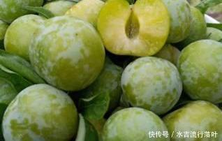  水果|别把钱看重要了，三伏天这3种水果要买点尝尝，不涩不酸正当吃！