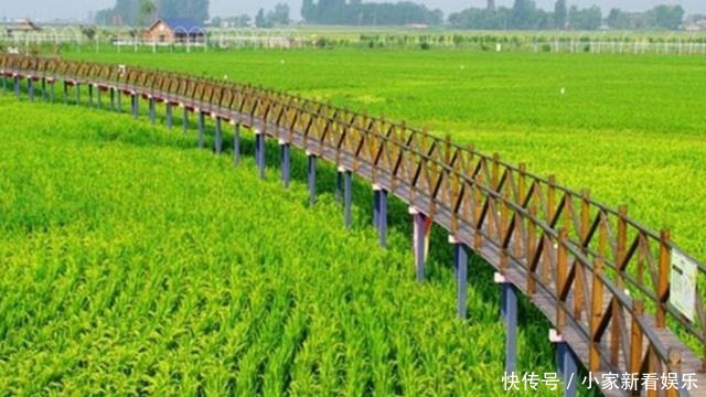  梦幻|《我和我的家乡》取景地走红，梦幻田园美景，文艺青年拍照圣地