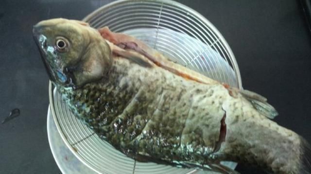 葱葱鲫鱼|鲫鱼和小葱的新吃法,做法简单,营养美味又解腻,上桌都抢着吃