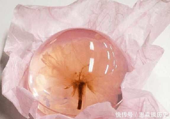 樱花|连零食的颜值都这么高了,你还没吃过这些高颜值的零食吗