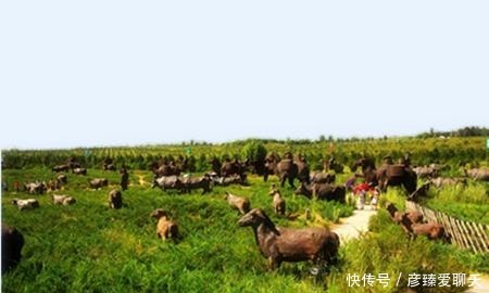 环保|“一代天骄”成吉思汗被称为历史上“最环保”的君王？