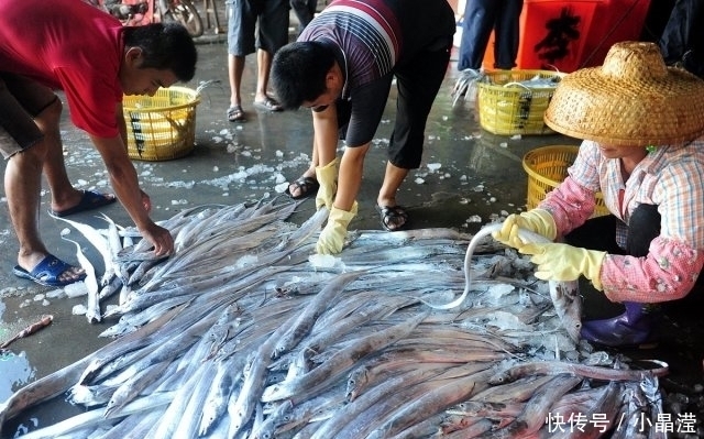  鱼贩子|买带鱼时，遇到这3种带鱼，聪明人扭头就走，鱼贩子此人是行家