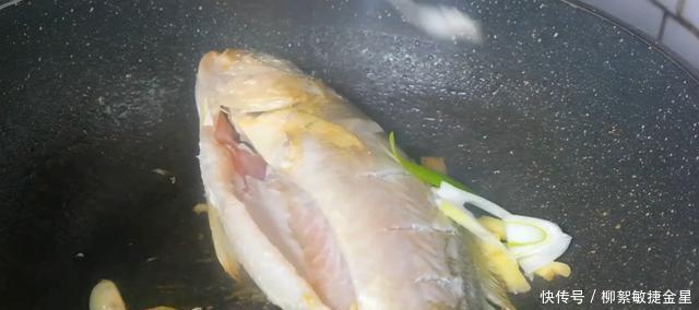 家常|大厨教你做一道红烧鱼，简单家常，五星级大厨都称赞