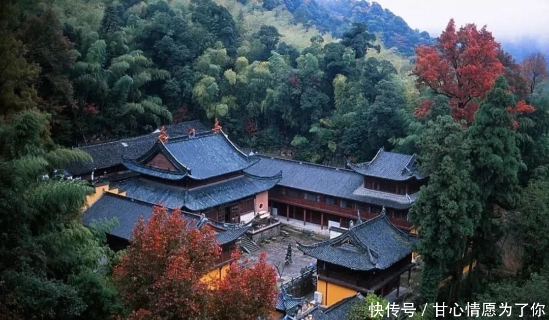 生产国|世界第二大绿茶生产国,你知道最流行什么茶吗?