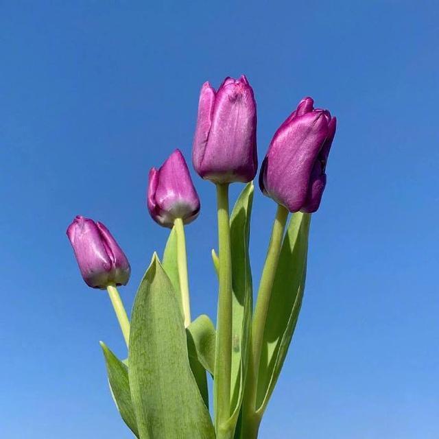 迷人|朋友圈超迷人的早安句子,干净治愈,沁人心脾!