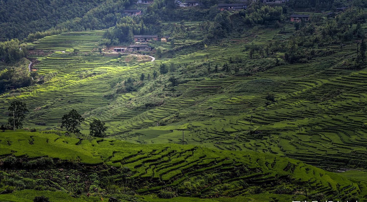 蛤蟆|养在深闺的联合梯田，蛤蟆一跳过三丘