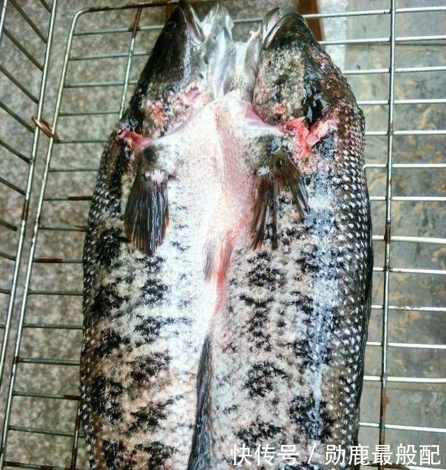 心中有数|烤黑鱼吃,让你吃一次就心中有数!如果你不相信,试试看!