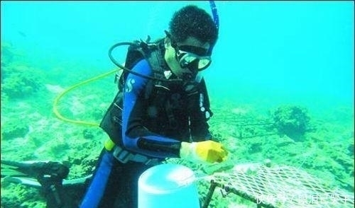 完胜|南海吹沙填海工程进度美济礁成美济岛,完胜马尔代夫