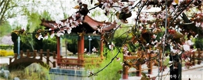 春光|全国特色小镇春光正好