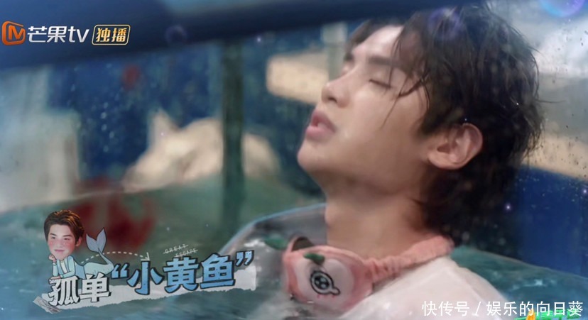 争议|密逃玩太大惹争议嘉宾被关水箱两小时,网友质疑安全性