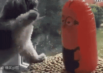 像是|搞笑GIF：感觉自己以前玩的掷瓦片就像是新手上路一样……