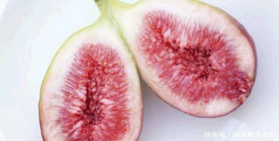 无花果的叶|无花果全身都是宝,果肉清甜美味,叶子也大有用处,别随便丢了
