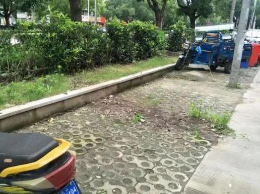 整改前|文明创建曝光台丨又有哪些不文明行为被曝光