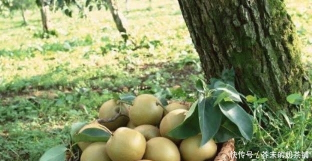 收回|农村大妈卖梨让顾客“吃一口”剩下的又收回去,这是为啥