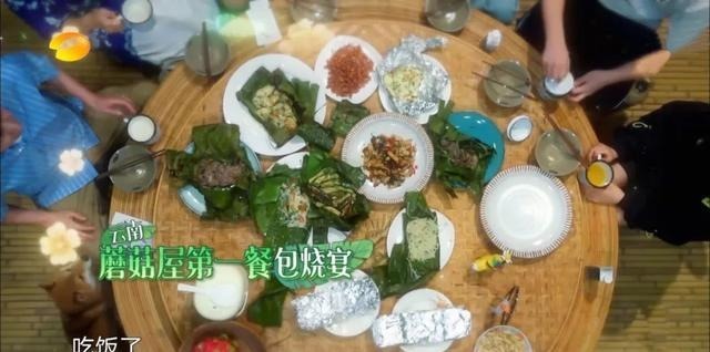 来去匆匆|《向往的生活》双龙和黄晓明来去匆匆,黄磊一句话更点明问题所在