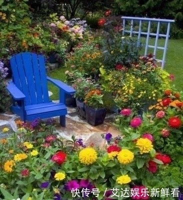 暮年|你我暮年,有个小院,足矣!