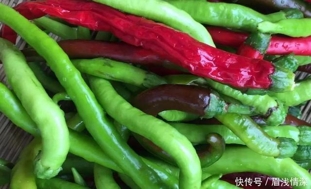 开胃|秋天来点开胃的,大叔教你蒜香二荆条,香辣味美,简单易学,不错