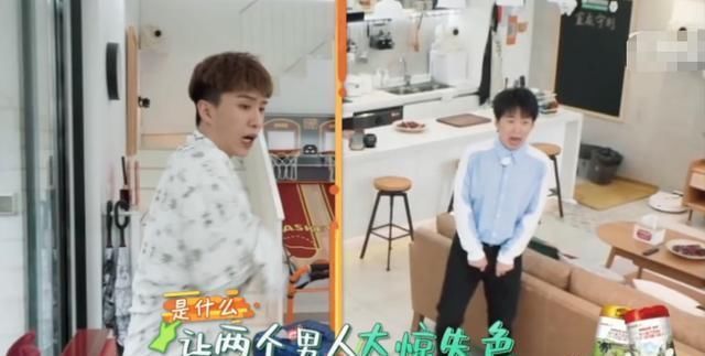  男人|《做家务的男人2》：手砸包菜被虫吓坏，范丞丞郭麒麟同居太好玩