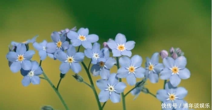  之人|8月开始财运一旺再旺，事业一直发，全家享福的四大生肖