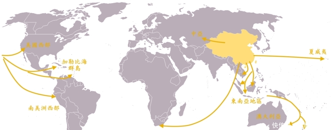 阿古柏|我们需要一支什么样的海军？