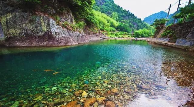  席卷|高温席卷的初夏，不如去这些堪比童话仙境的小众森林里乘个凉