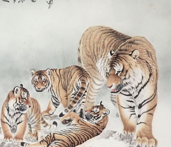 运程|人生苦短“虎人”未来“2020年”运程，该看看了！