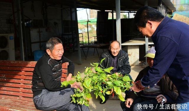 辣王|中国辣王每天把辣椒当饭吃 是饭馆最不欢迎的人|百家故事