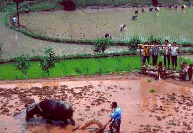  农村|那些七，八十年代的农村老照片，看完都是满满的回忆
