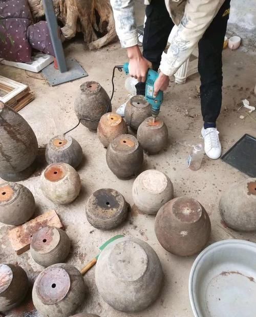 个个|他用菜坛子养多肉,1分不花又好看,个个壮得像白菜