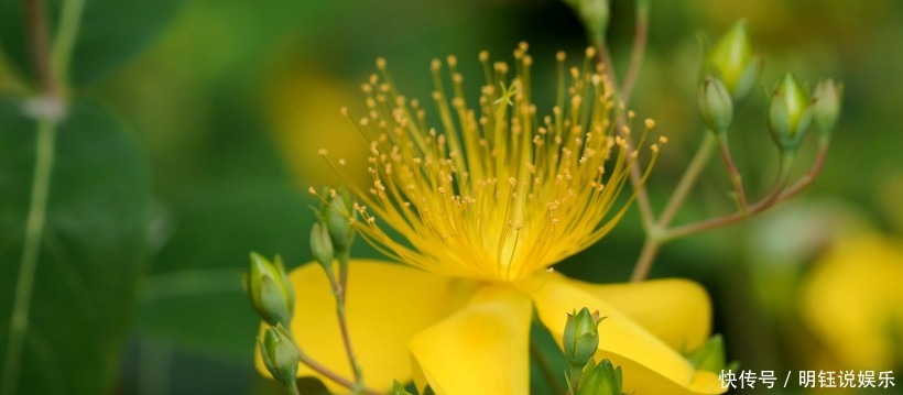  越老越|谁家老婆是以下4大生肖的，是老公的财神爷，越老越富裕！