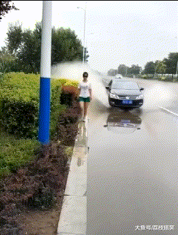 搞笑|搞笑GIF:伴娘在哪里找的真能闹
