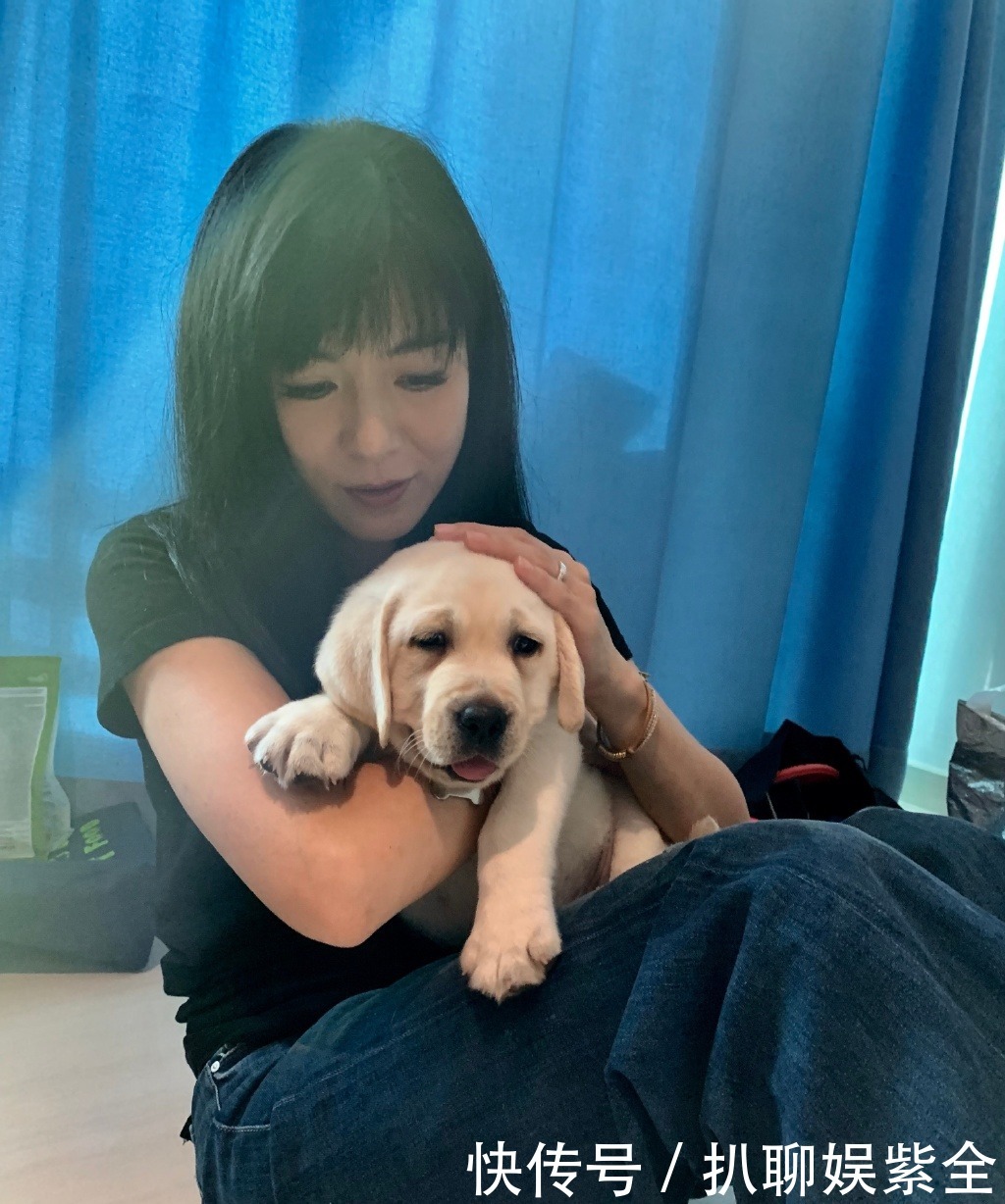  迟暮|美人不迟暮！杨采妮的图集