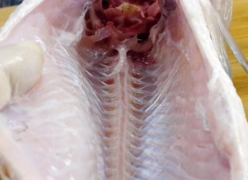 源头|剃掉“鱼腥线”,大错特错,这4处才是腥味源头,处理好做鱼更鲜