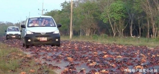  中国|在德国吃了大闸蟹，给了400元准备走，立马就被德国老板叫住