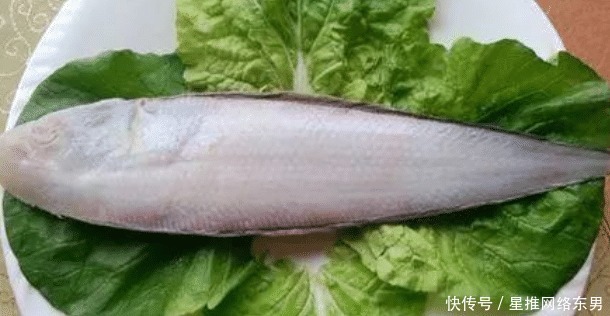 黄骨鱼|爱吃鱼的人看过来，可以选这四种，鱼刺很少，吃得放心