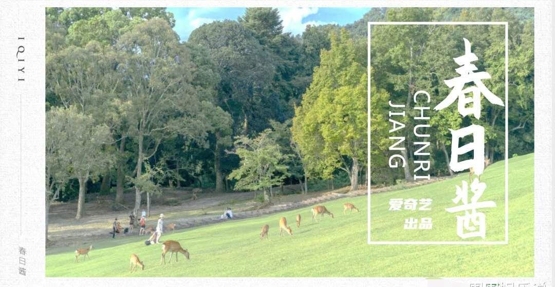 丁程鑫|《春日酱》细节曝光!王安宇资源全面展开,丁程鑫组合内通告最多