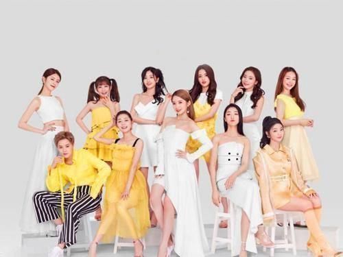 青春有你|《创造101》和《YESOK》更喜欢哪一个网友们的选择出乎意料