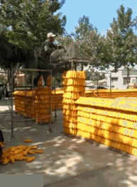 破洞|搞笑GIF:最潮流破洞牛仔裤 新款!绝对新款