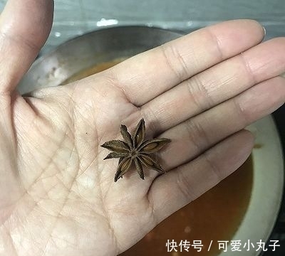 家宴|家宴·西红柿炖牛腩