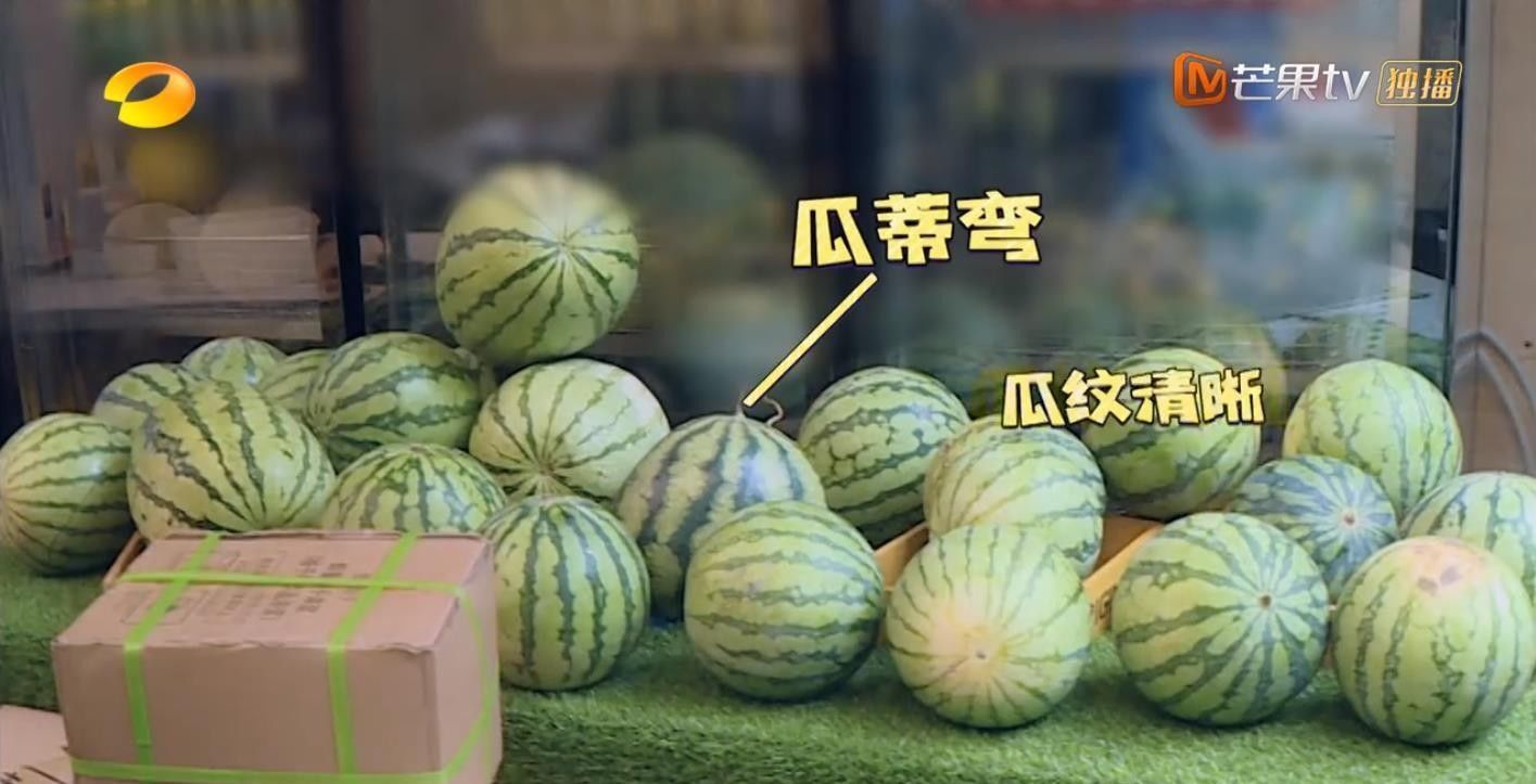  男人|今年最好笑的综艺！胡军杨洋领着一群男人天南海北地玩捉迷藏