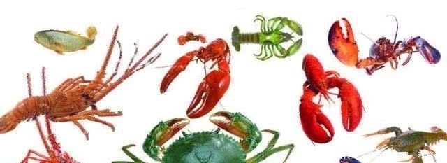 古人|为什么古人把“海鲜”称为“海错”?谈谈中国人吃海鲜的历史