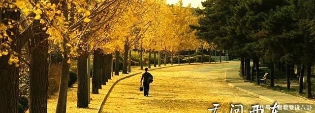 西东|《芳华》被《无问西东》完美碾压, 是一种什么样的感觉?