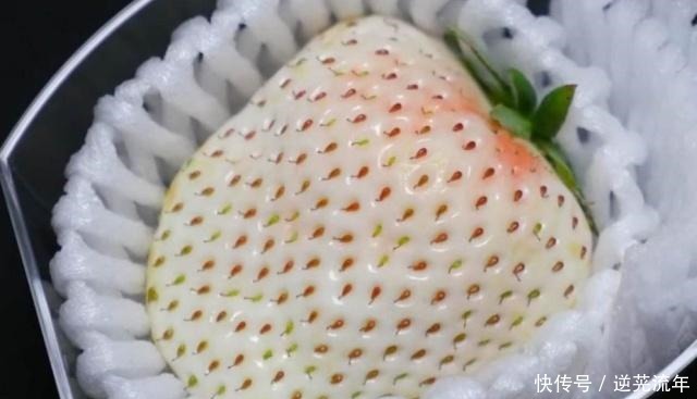 车厘子|国内“最贵”的4种水果,车厘子也比不上,吃得起都是土豪!