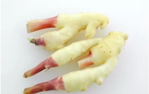 比肉|最好吃的鱼,营养是甲鱼8倍,16块钱一斤,比肉便宜无人买