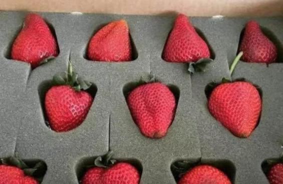 包装|超市里过度包装的食物,忍了草莓,忍了香蕉,看到可乐不淡定了