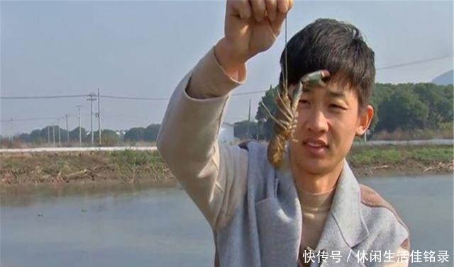 混养|水池中混养龙虾,学会这几招,不赚钱都不行