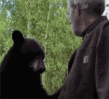 慢点|搞笑GIF:鸡:狗兄弟,能不能开慢点