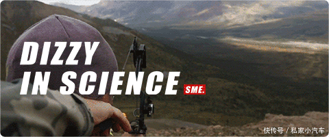 动物|灭绝得最冤的物种,它们被误认为是杀羊贼,惨遭欧洲人的团灭